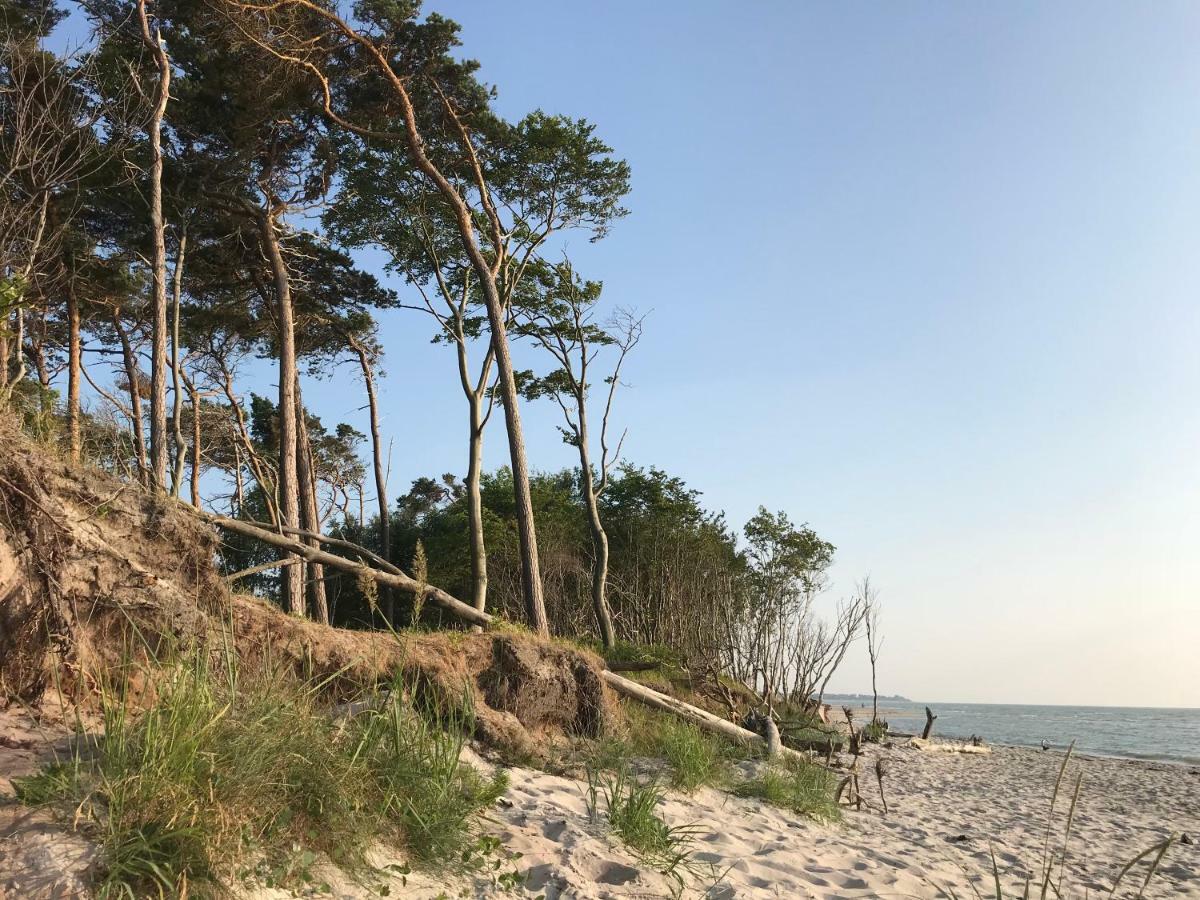 "Kontorhaus" By Ferienhaus Strandgut Born Exterior foto